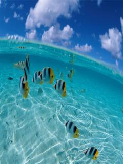 Other Wallpapers 0903